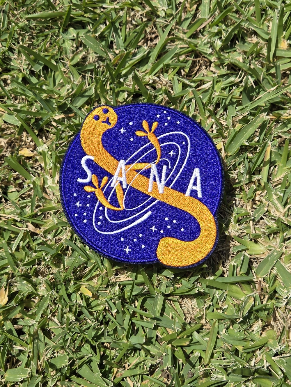 Original Hololive Tsukumo Sana Pin